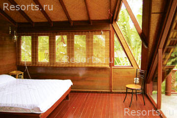 Coconut Tropicana 15